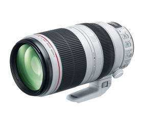 Canon EF 100-400mm f/4.5-5.6L IS II USM